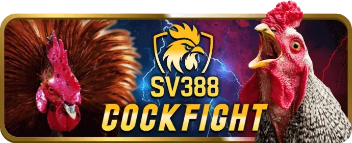 Dịch vụ chăm sóc khách hàng của c168 app